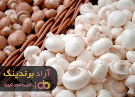 قارچ خوراکی گیلان را بهتر بشناسید قارچ خوراکی گیلان را بهتر بشناسید