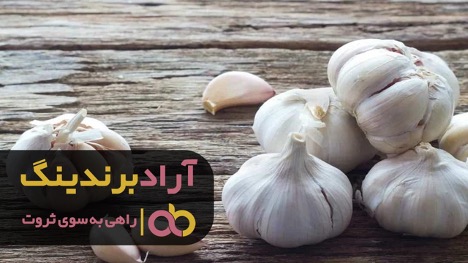 چرا قیمت سیر خشک به نسبت سیر تازه بالاتر است