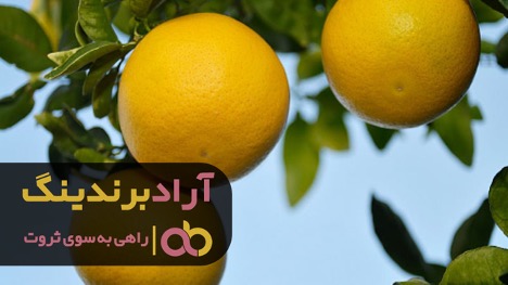 لیمو ترش صادرتی باید چه ویژگیهایی داشته باشد؟ لیمو ترش صادرتی باید چه ویژگیهایی داشته باشد؟