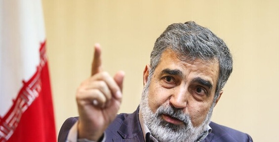 کمالوندی: خواسته‌های آژانس از ایران، زیاده‌خواهانه است
