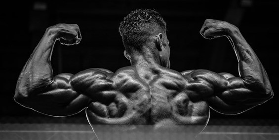 خطر بیخ گوش فدراسیون جهانی پرورش اندام