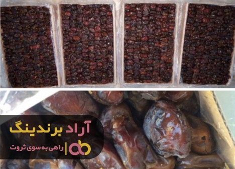 ورود خرما کبکاب داردان به ایران ممنوع است