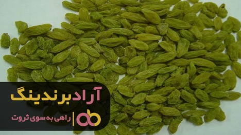 کشمش سبز ملایر با کیفیت بالا
