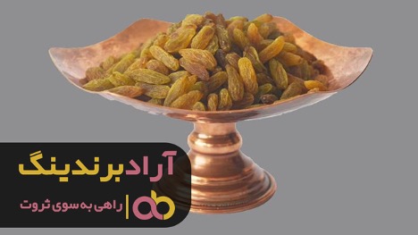 کشمش سبز ملایر با کیفیت بالا