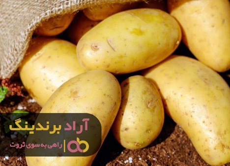 تصویر و نقشه ذهنی برای موفقیت تصویر و نقشه ذهنی برای موفقیت