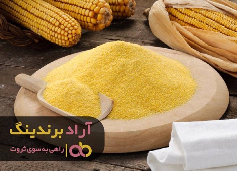 پولدار شدن بدون سرمایه میسر شد پولدار شدن بدون سرمایه میسر شد