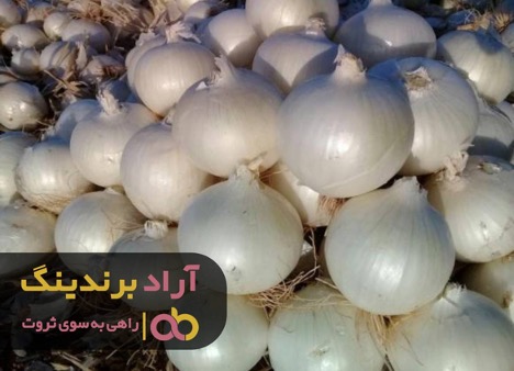 هدف را درست انتخاب کنید و ثروتمند شوید