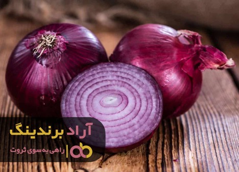 گذر از بحرانهای زندگی با راهنمایی های بزرگان گذر از بحرانهای زندگی با راهنمایی های بزرگان