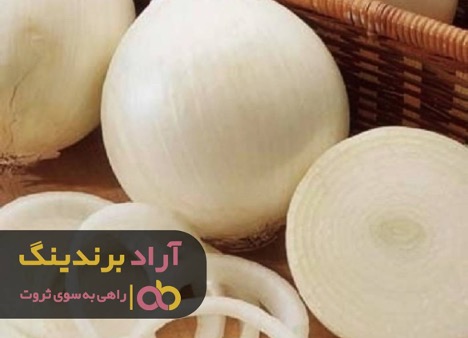گذر از بحرانهای زندگی با راهنمایی های بزرگان گذر از بحرانهای زندگی با راهنمایی های بزرگان