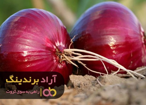 عادت های مفید روزانه که شمارا به موفقیت می رساند