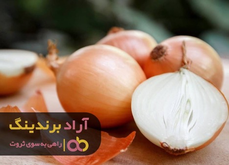 عادت های مفید روزانه که شمارا به موفقیت می رساند