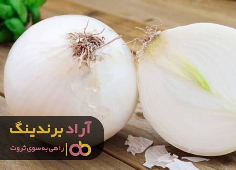 با درس گرفتن از شکست های زندگی پولدارشدم