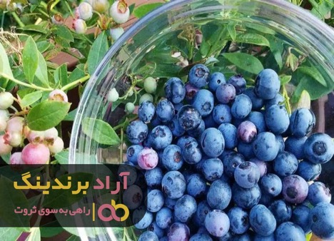 بدون هیچ محدودیتی پیشرفت کنید بدون هیچ محدودیتی پیشرفت کنید