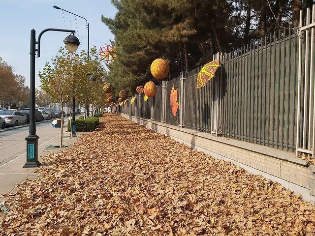 بهترین مسیرهای پیاده روی مشهد؛ خیابان ها و کوچه های دنج شهر بهترین مسیرهای پیاده روی مشهد؛ خیابان ها و کوچه های دنج شهر