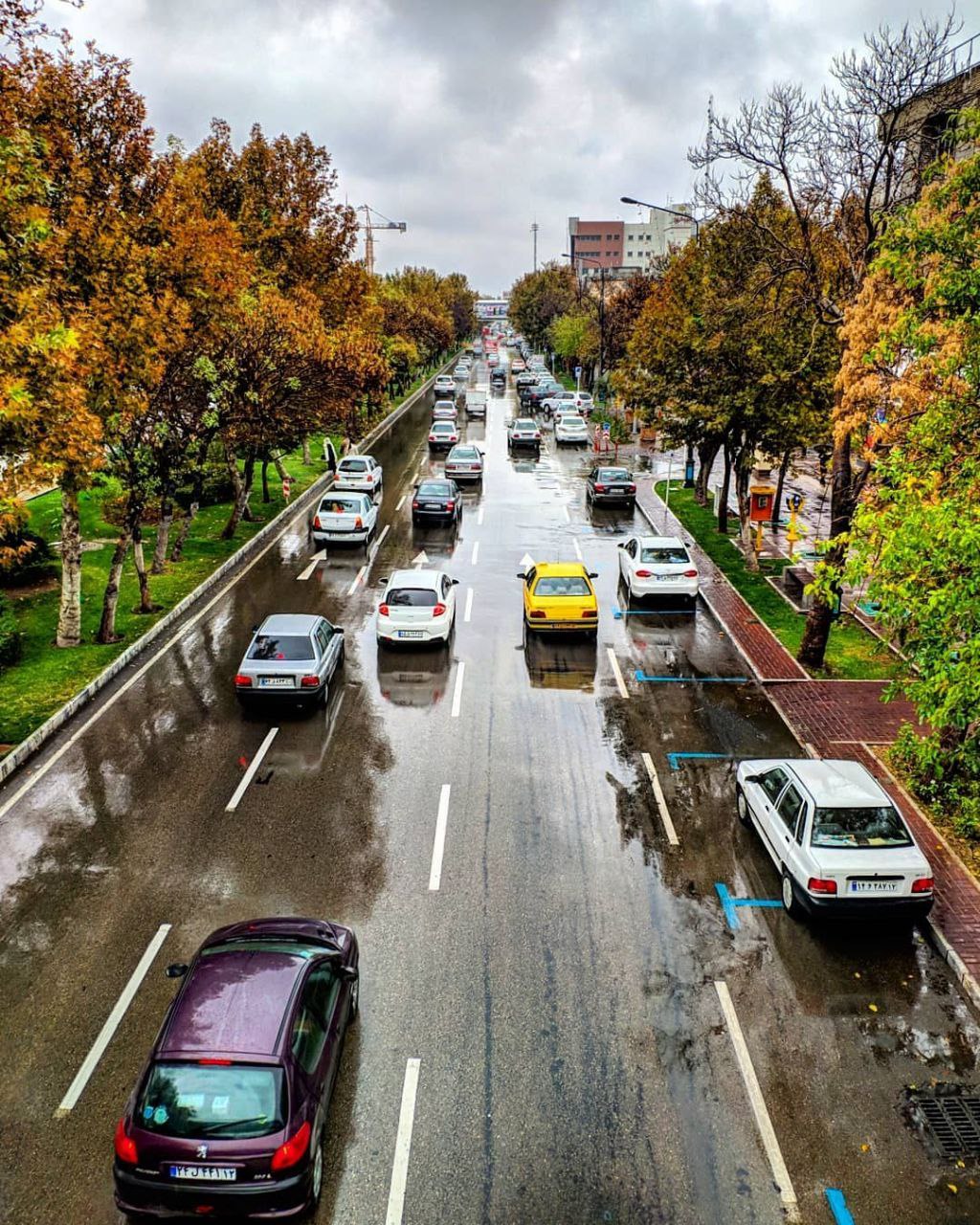 بهترین مسیرهای پیاده روی مشهد؛ خیابان ها و کوچه های دنج شهر بهترین مسیرهای پیاده روی مشهد؛ خیابان ها و کوچه های دنج شهر