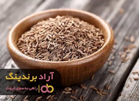 یک عطاری ایده ثروت ‌سازی را در ذهنم ایجاد کرد