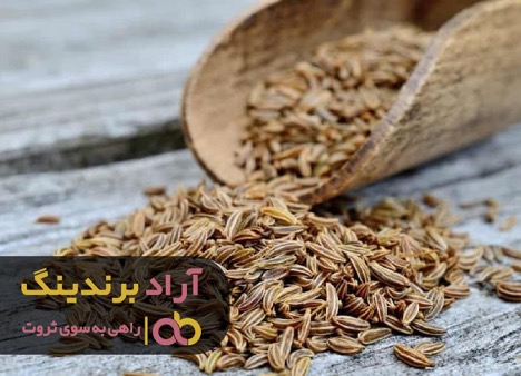 یک عطاری ایده ثروت ‌سازی را در ذهنم ایجاد کرد