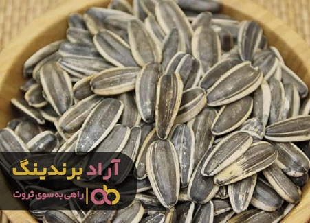 خوابم تعبیر شد و من ثروتمند شدم خوابم تعبیر شد و من ثروتمند شدم