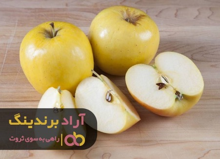 خوابم تعبیر شد و من ثروتمند شدم خوابم تعبیر شد و من ثروتمند شدم