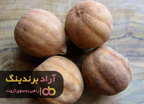 لیمو عمانی برخلاف سیاهی اش سفید بختم کرد لیمو عمانی برخلاف سیاهی اش سفید بختم کرد