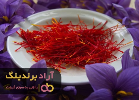 زعفران طلای نابی بود که دنیایی از ثروت را به من داد زعفران طلای نابی بود که دنیایی از ثروت را به من داد