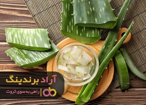 کمپوت شهرت را به من هدیه کرد کمپوت شهرت را به من هدیه کرد