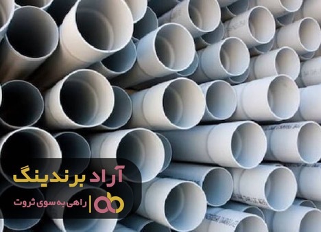 راز خوشبختی من کسب درآمد دلاری بود راز خوشبختی من کسب درآمد دلاری بود