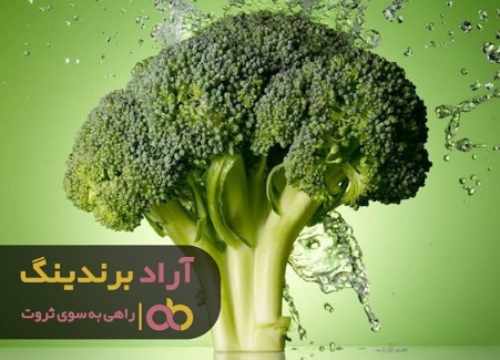 موفقیت را با تجربه و بتن یافتم موفقیت را با تجربه و بتن یافتم