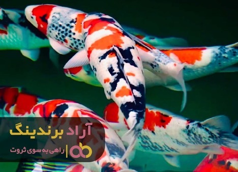 اهرم های ثروت سازی که تند و سریع شما را ثروتمند می کنند! اهرم های ثروت سازی که تند و سریع شما را ثروتمند می کنند!