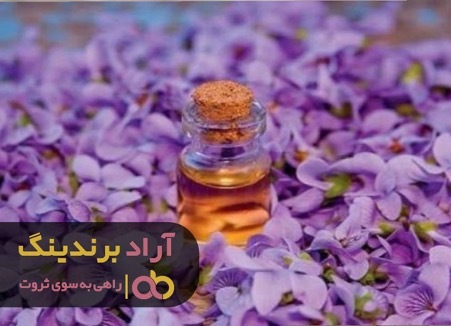 میلیاردر شدنم از یک ایده خوب آغاز شد میلیاردر شدنم از یک ایده خوب آغاز شد