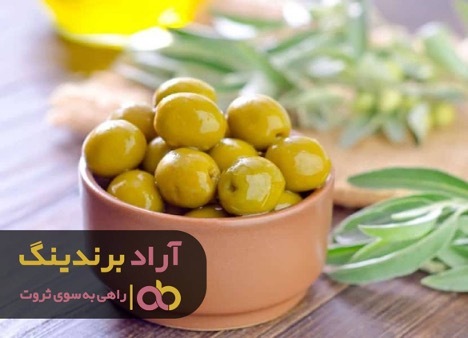 زیتون ثروت ساز را یافتم و ثروتمند شدم زیتون ثروت ساز را یافتم و ثروتمند شدم