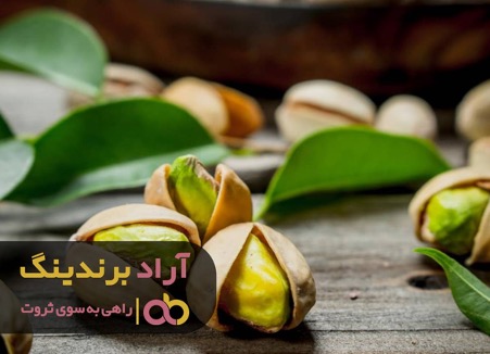 بعد از دانشگاه با کمک اینترنت ثروتمند شدم بعد از دانشگاه با کمک اینترنت ثروتمند شدم