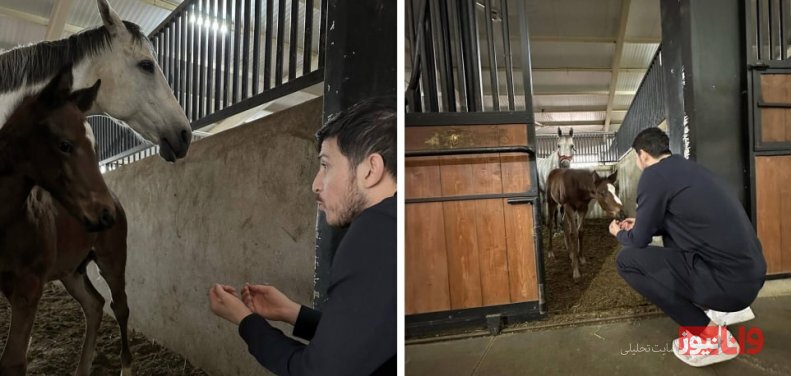 سردار آزمون موافق کادر جدید تیم ملی نیست/ ستاره تیم ملی در سالن والیبال +عکس سردار آزمون موافق کادر جدید تیم ملی نیست/ ستاره تیم ملی در سالن والیبال +عکس