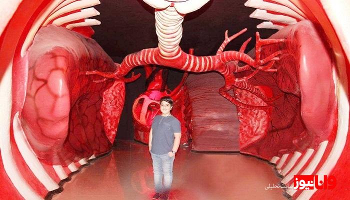 با بهترین جاهای دیدنی مشهد آشنا شوید