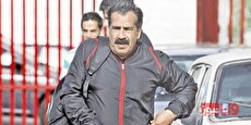 کنایه وحید قلیچ به یحیی؛ ما همه ساپینتو هستیم!