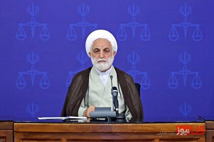 بسیاری از ایرانیان مقیم خارج از کشور می‌توانند به وطن خود بازگردند