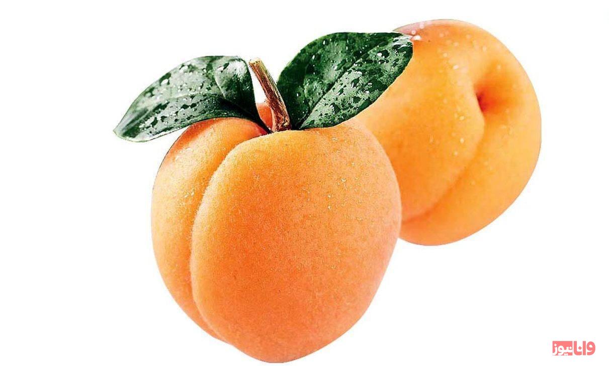 &laquo;آیا ریشه درخت زردآلو تهاجمی است؟ با فوت و فن کاشت نهال زردآلو آشنا شوید&raquo;