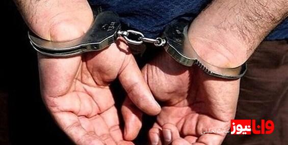 دستگیری زوج کلاهبردار ۳۰ میلیاردی در پلدختر
