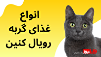 آشنایی با انواع غذای رویال کنین گربه