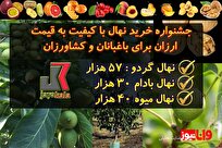 خرید نهال گردو اصلاح شده فقط با 57 هزار و بادام 30 هزار