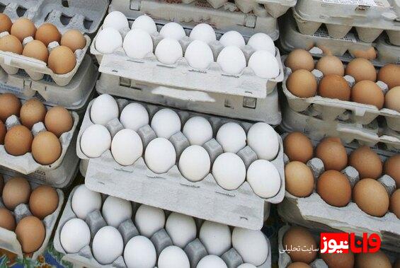 قیمت جدید تخم مرغ در بازار اعلام شد
