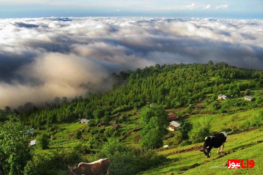 بهترین زمان برای سفر به کشورهای محبوب بهترین زمان برای سفر به کشورهای محبوب