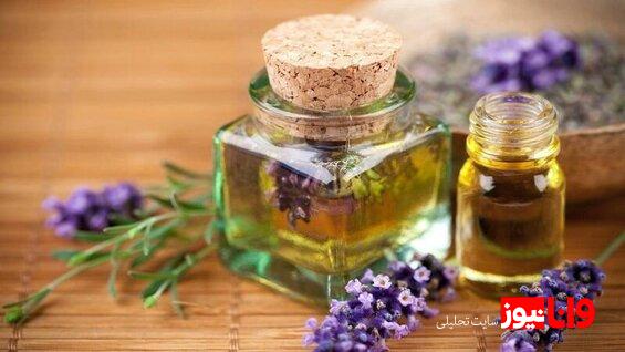 ۱۱ روش خانگی برای درمان نیش زنبور + چه زمانی به دکتر مراجعه کنیم؟