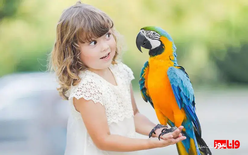 ایده‌ها و نکات کامل برای انتخاب اسم برای طوطی