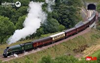 چگونه بهترین زمان خرید بلیط قطار را پیدا کنیم؟