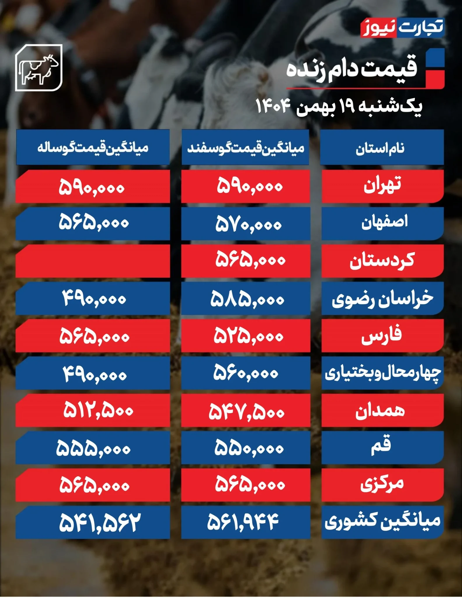 دام زنده گران نشد؛ بازار گوشت در انتظار چه تغییری است؟