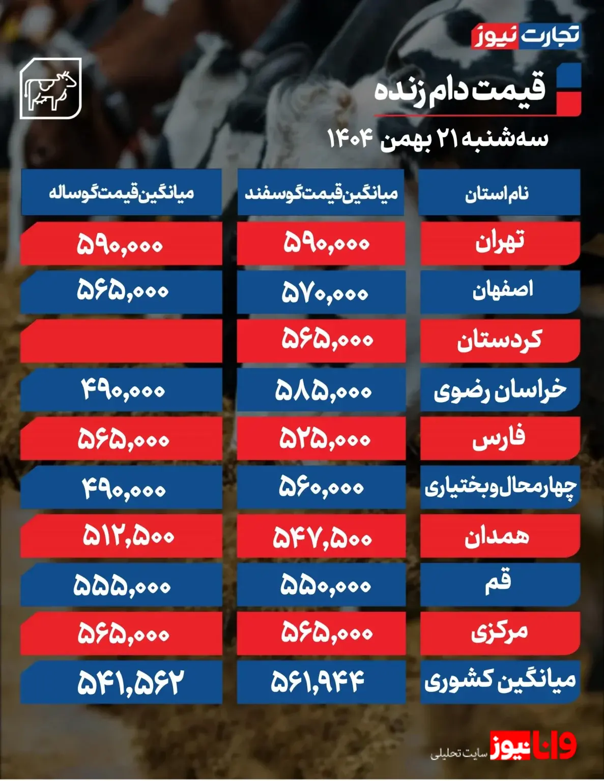 ثبات عجیب قیمت دام در بازار؛ گوسفند و گوساله قفل شدند
