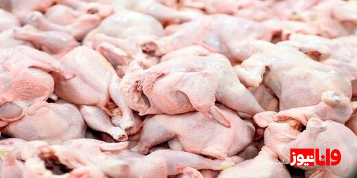 بازار مرغ در آستانه رمضان؛ تولید مکفی، اما قیمت‌ها در مسیر صعود