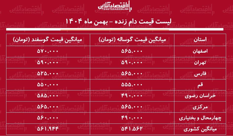 قیمت جدید دام زنده امروز ۲۵ بهمن ۱۴۰۴ / گوسفند زنده کیلویی چند شد؟ + جدول