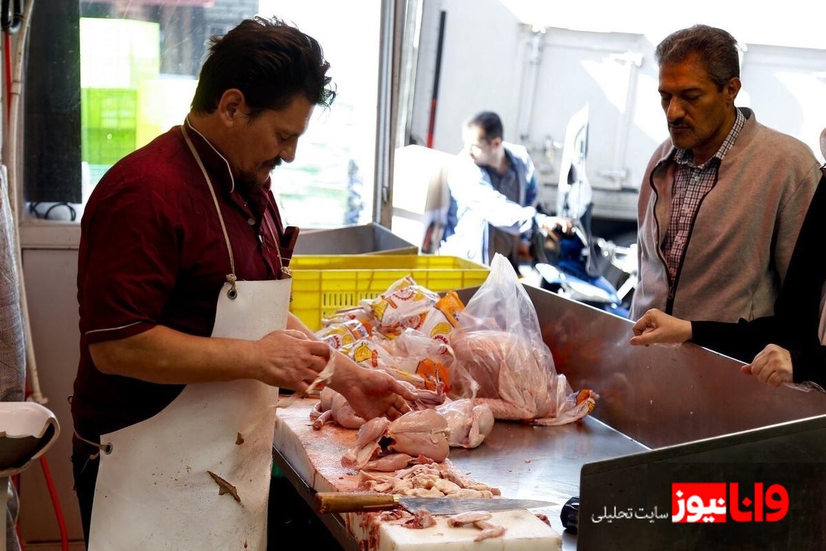 افزایش ناگهانی قیمت مرغ در بازار / از امروز مرغ با این قیمت نخرید